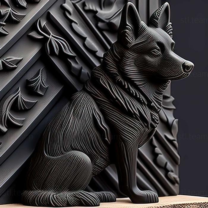 Собака норвезький чорний елькхаунд